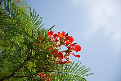 国产之光！游戏科学登顶Steam发行商收入榜前列